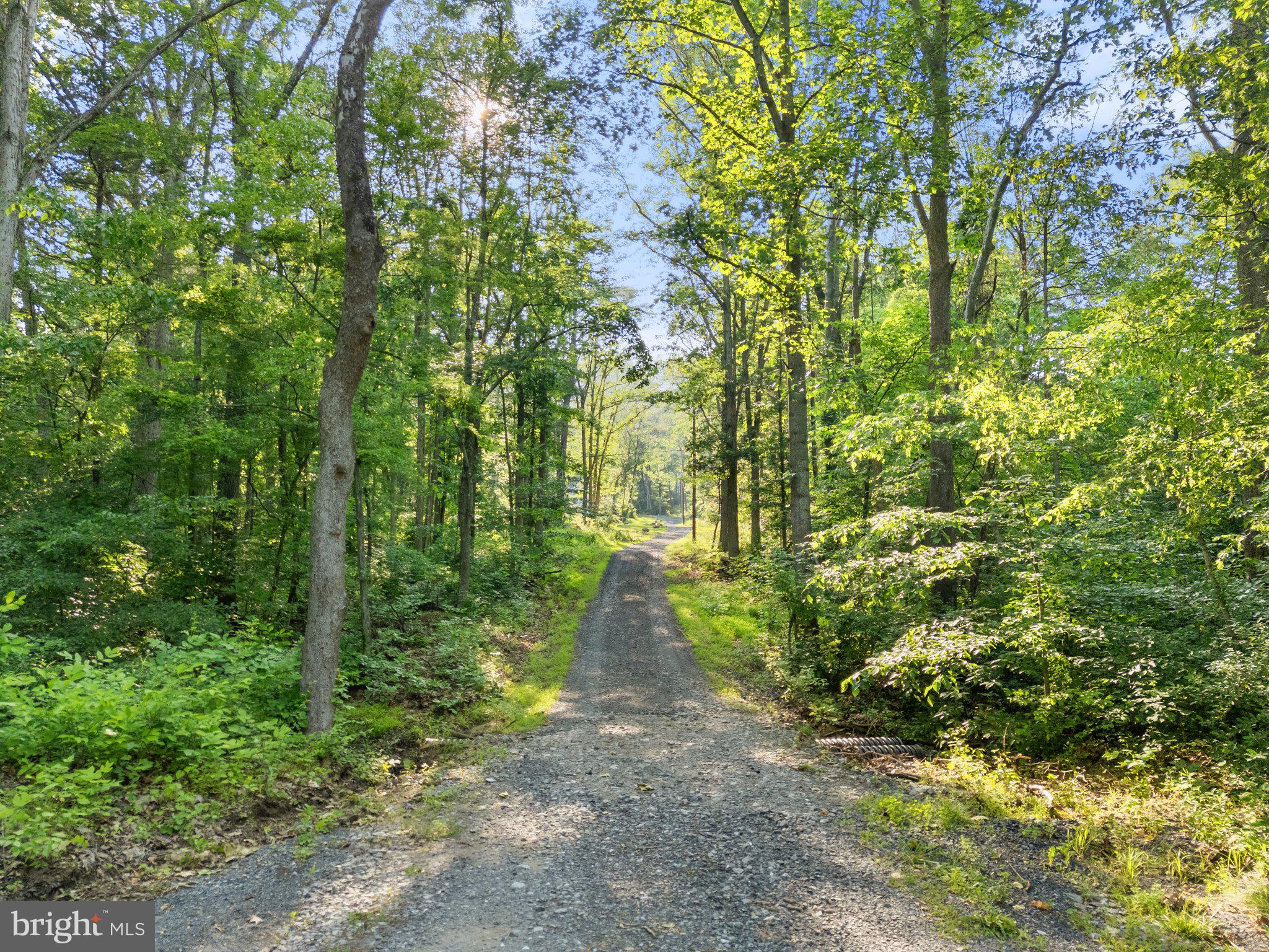 1820 GOONEY MANOR LOOP