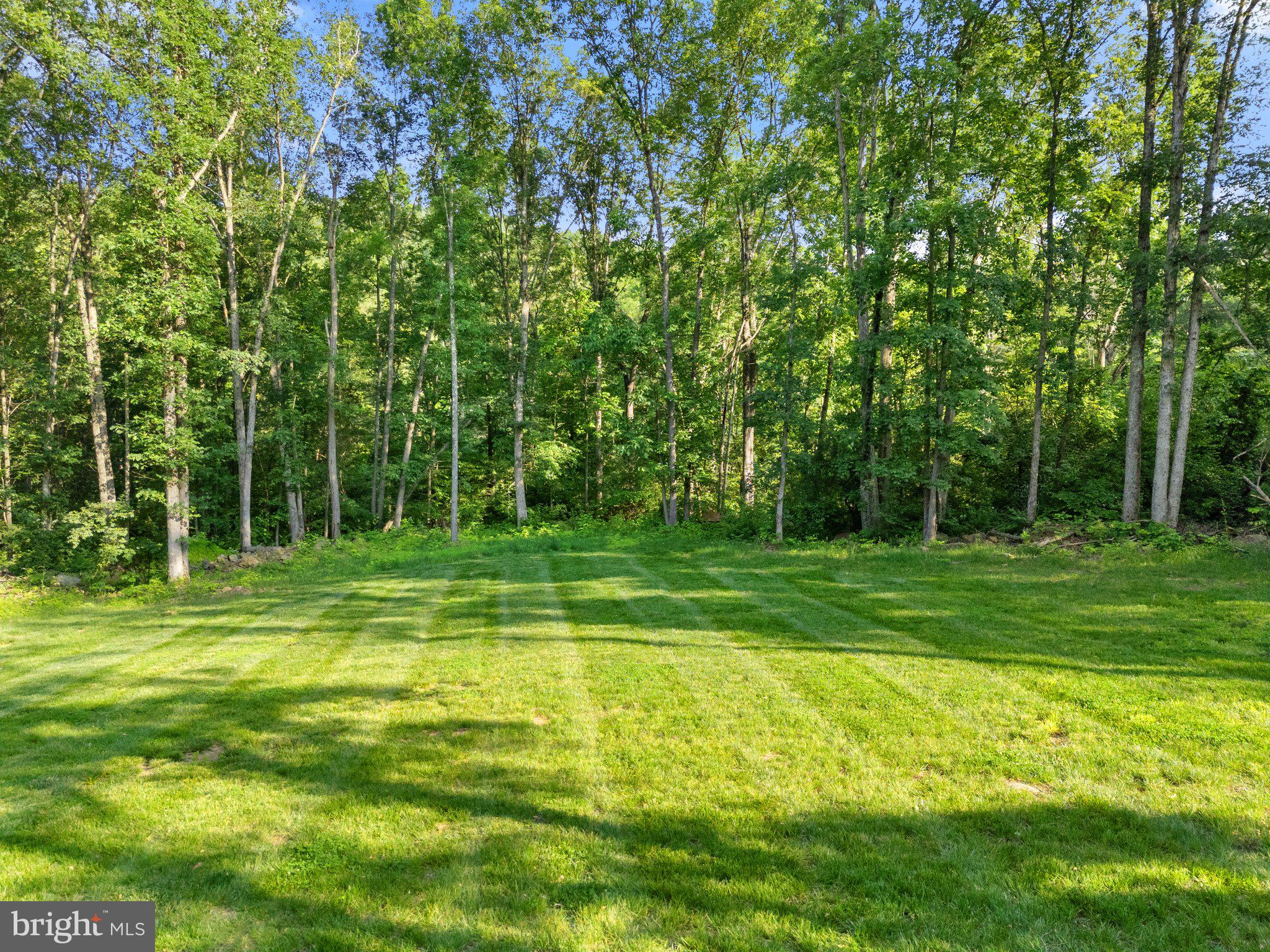 1820 GOONEY MANOR LOOP
