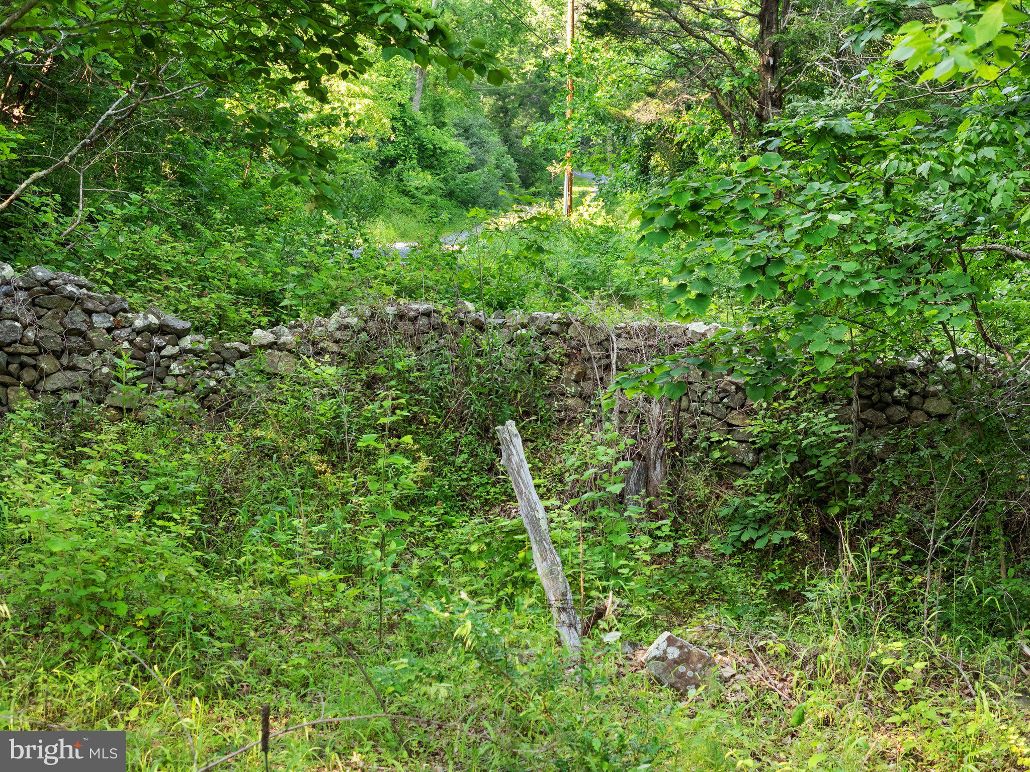 1820 GOONEY MANOR LOOP