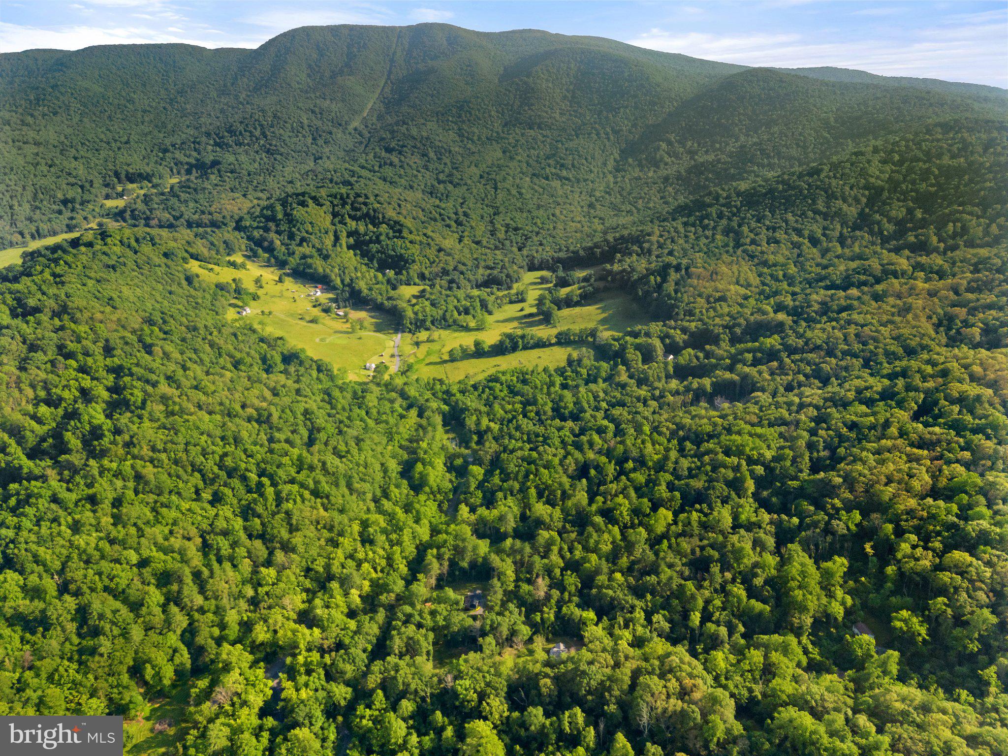 1820 GOONEY MANOR LOOP