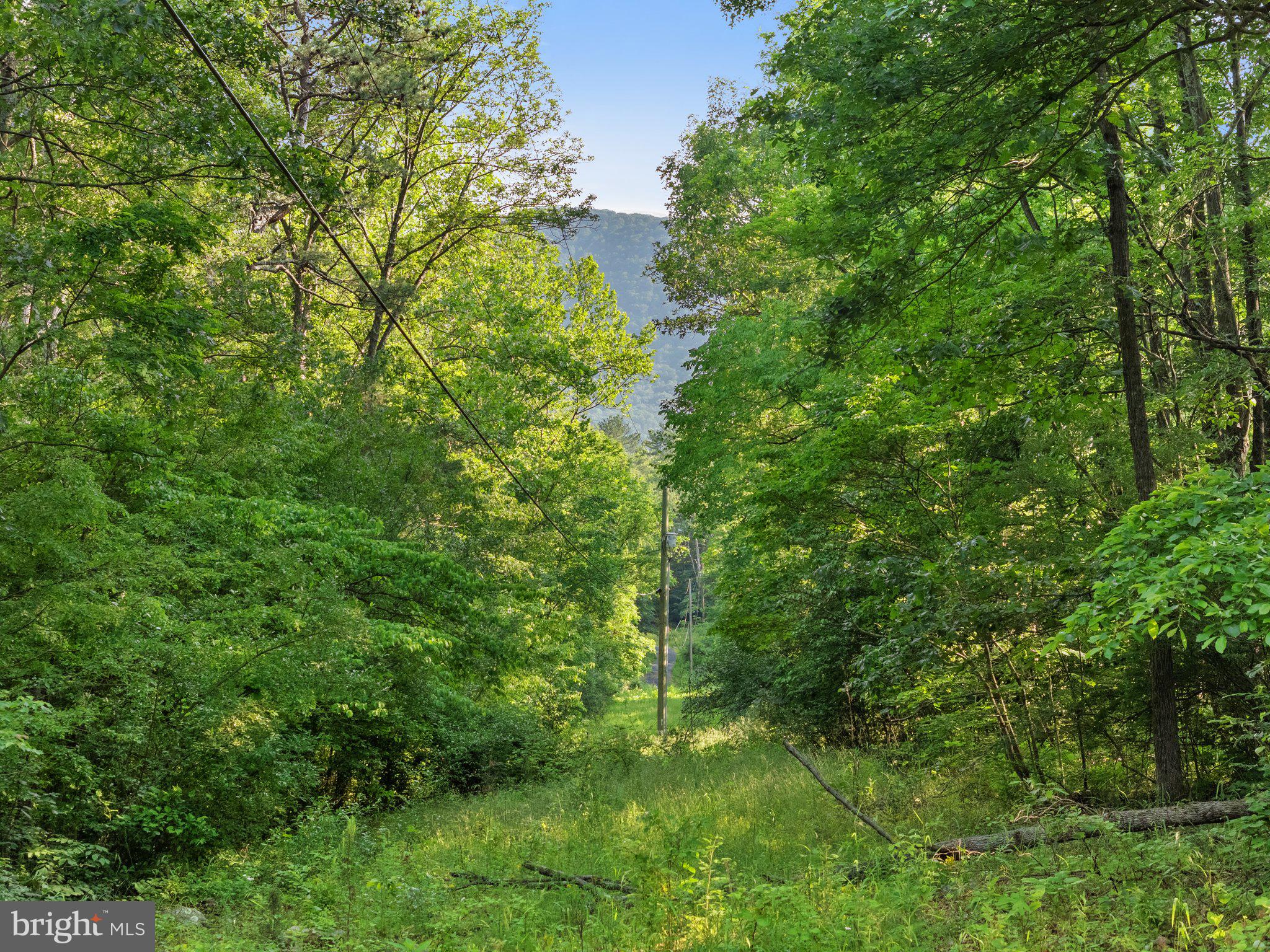1820 GOONEY MANOR LOOP