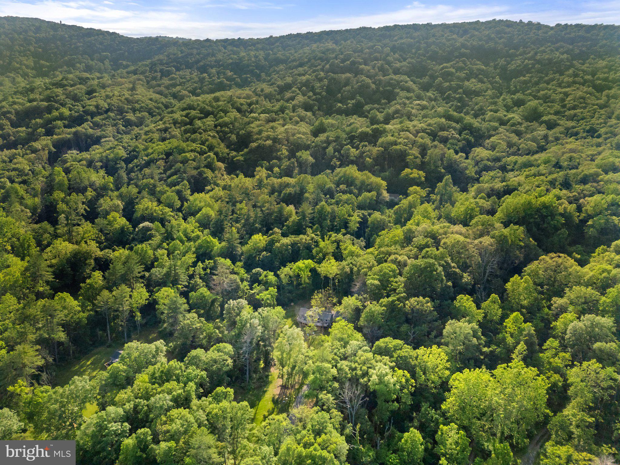 1820 GOONEY MANOR LOOP