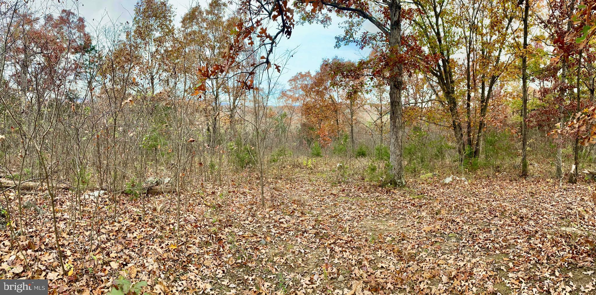 0 OLD CAVE ROAD