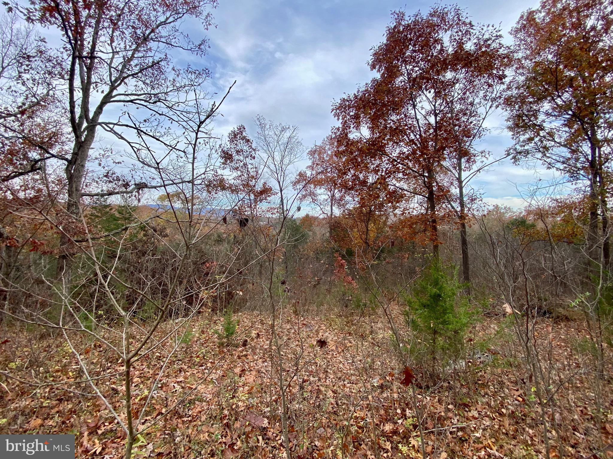 0 OLD CAVE ROAD