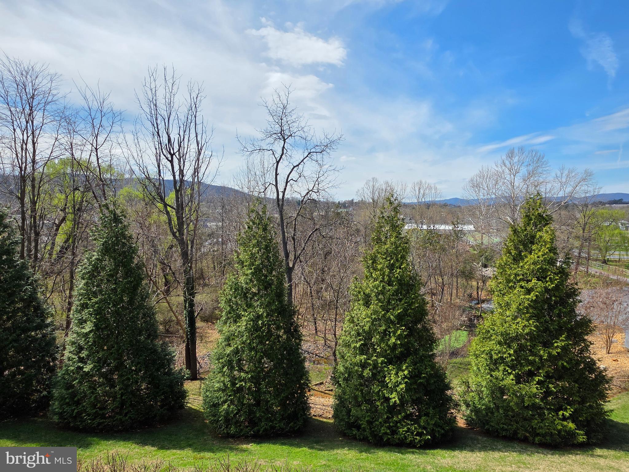 201 PEACH TREE COURT