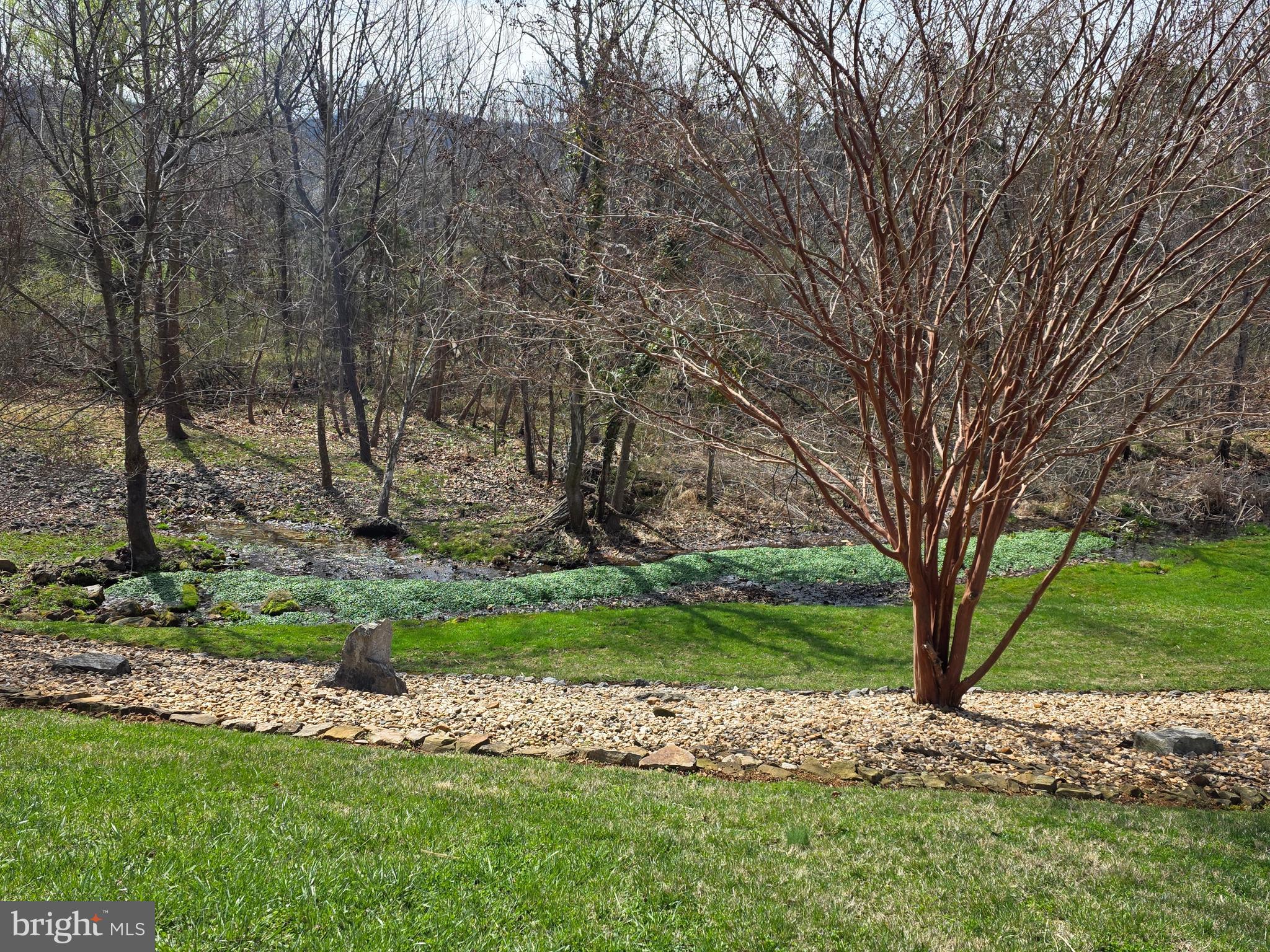 201 PEACH TREE COURT