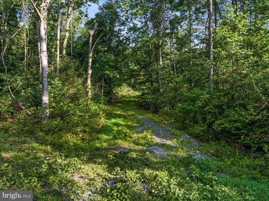 A4 GOONEY MANOR LOOP