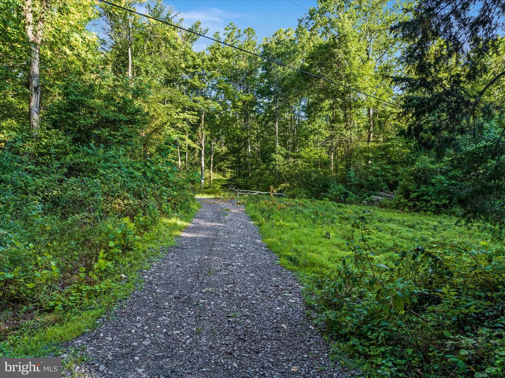 A4 GOONEY MANOR LOOP