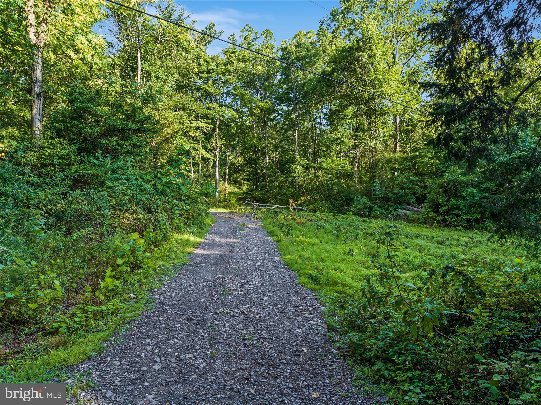 A4 GOONEY MANOR LOOP