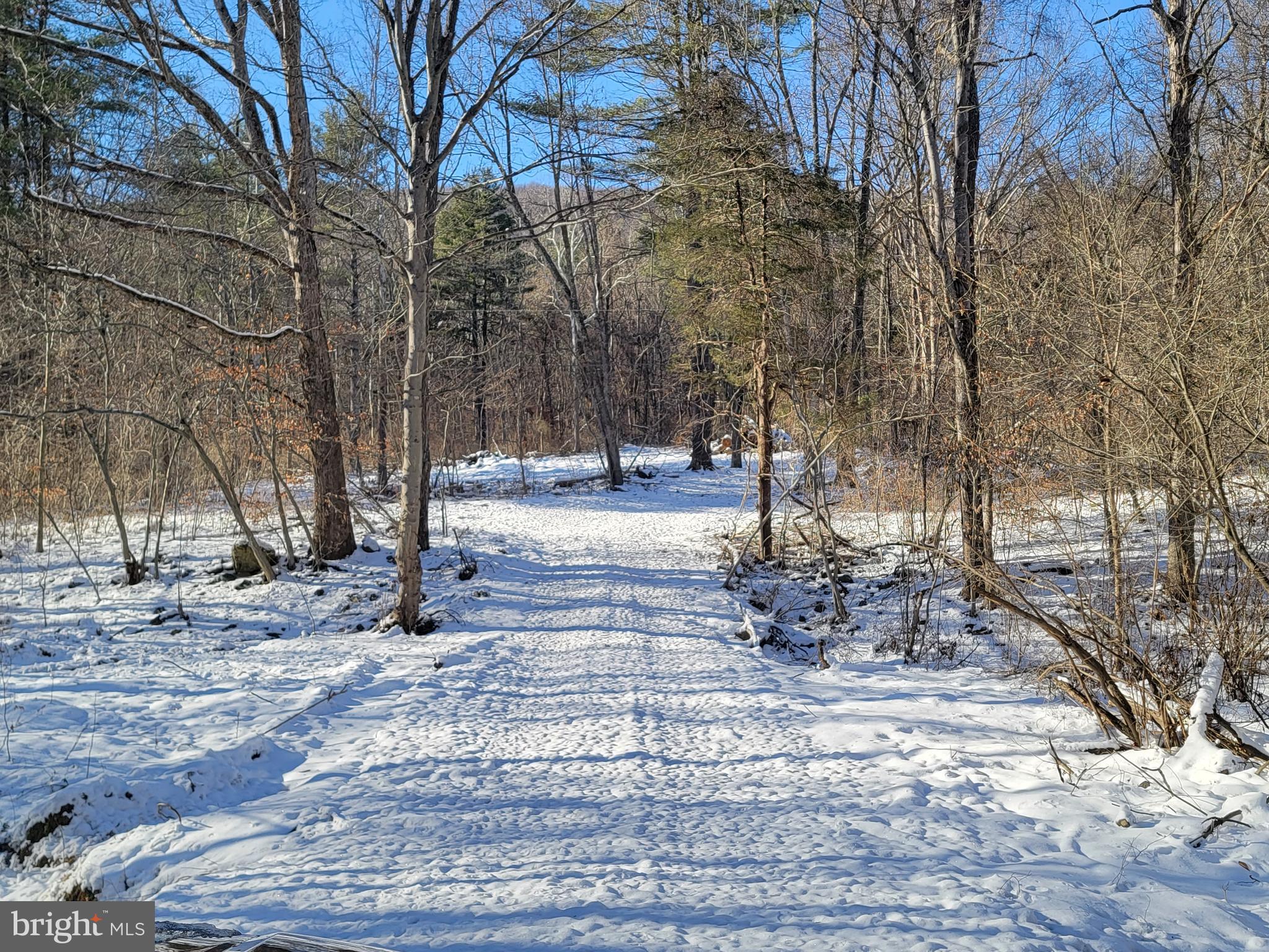 49A4 GOONEY MANOR LOOP