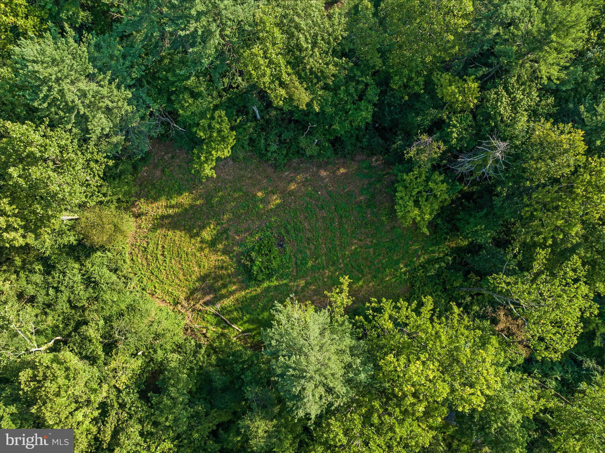 49A4 GOONEY MANOR LOOP