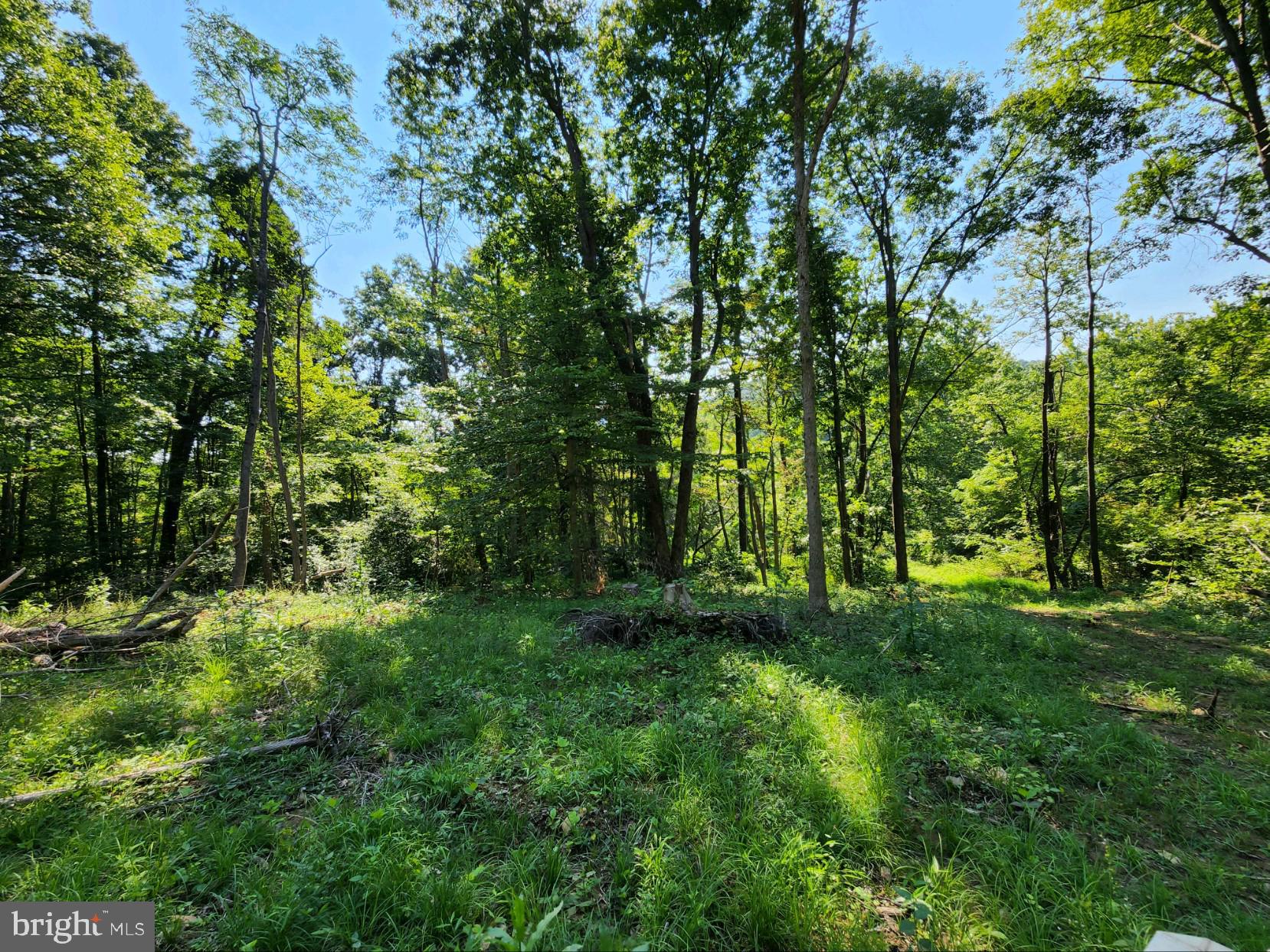 49A4 GOONEY MANOR LOOP