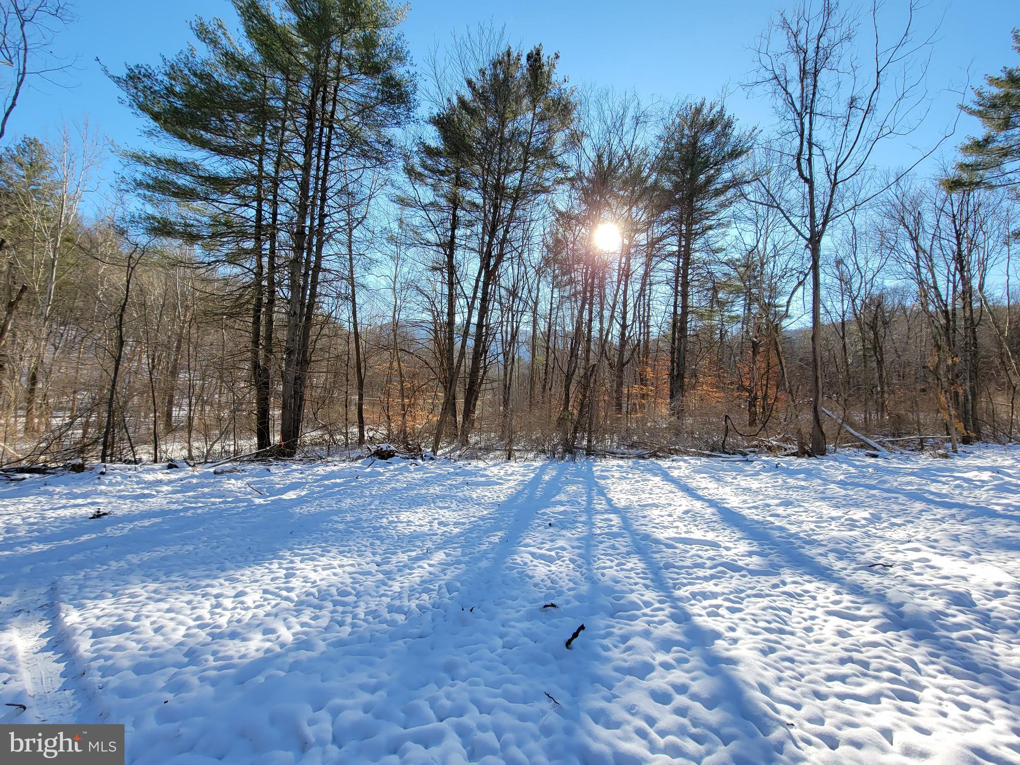 49A4 GOONEY MANOR LOOP