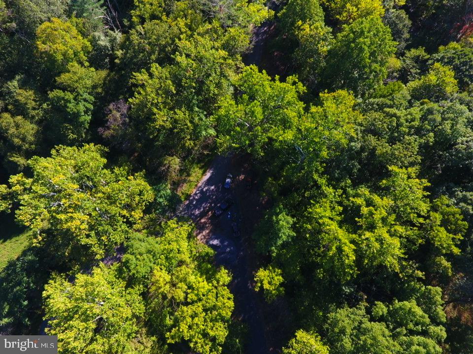 49A4 GOONEY MANOR LOOP