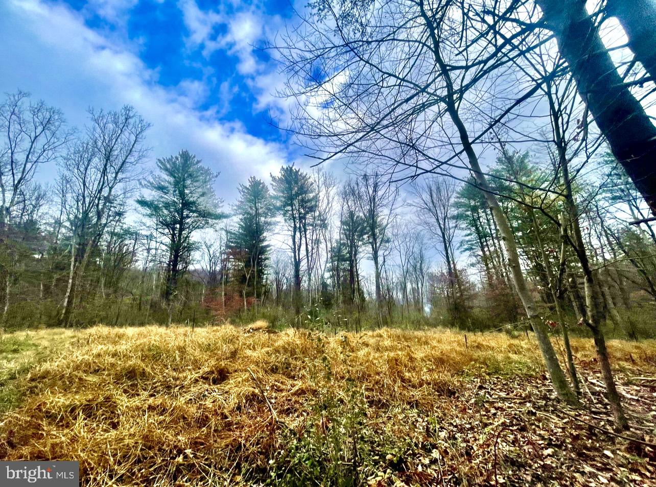 49A4 GOONEY MANOR LOOP