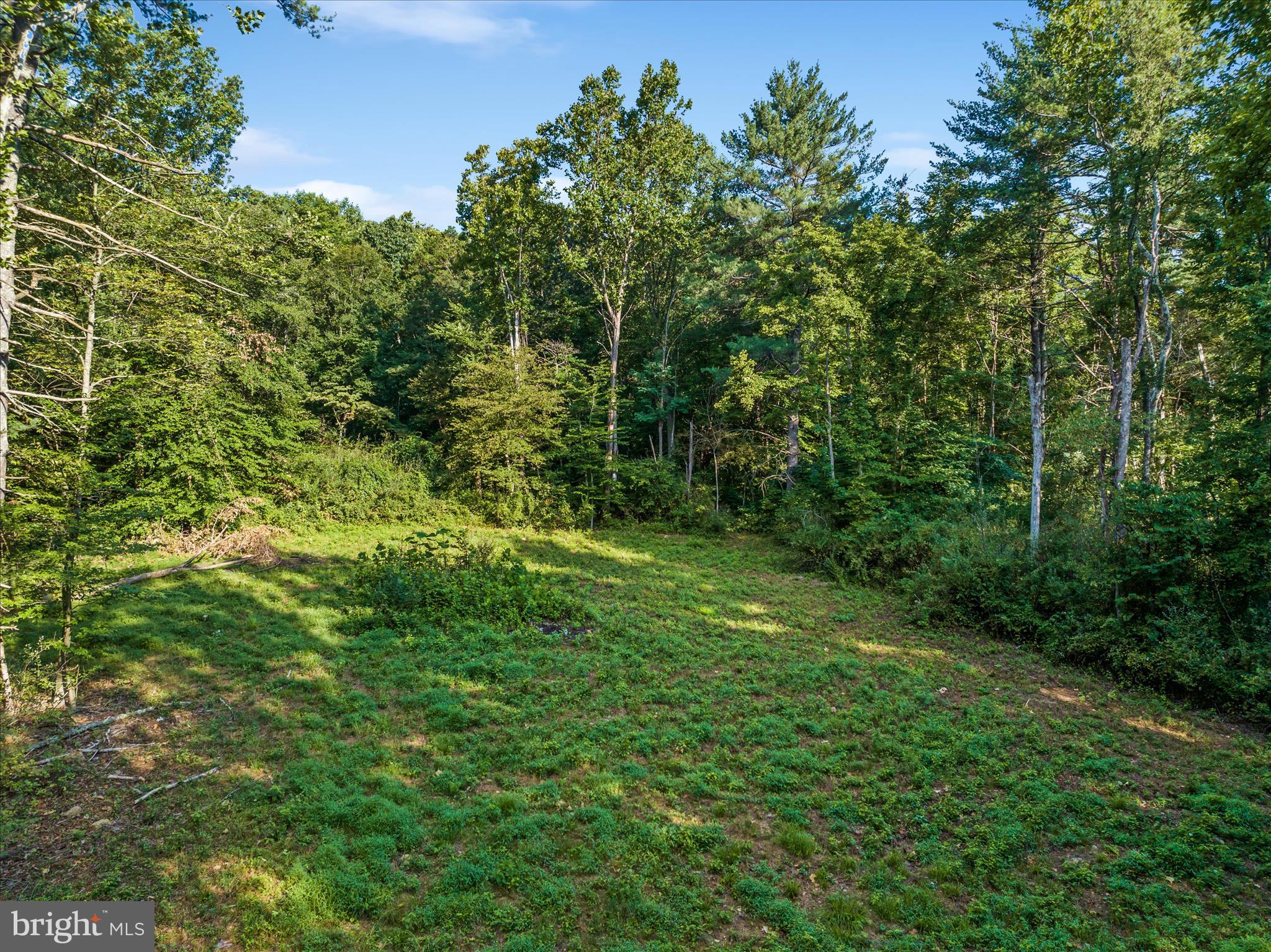 49A4 GOONEY MANOR LOOP