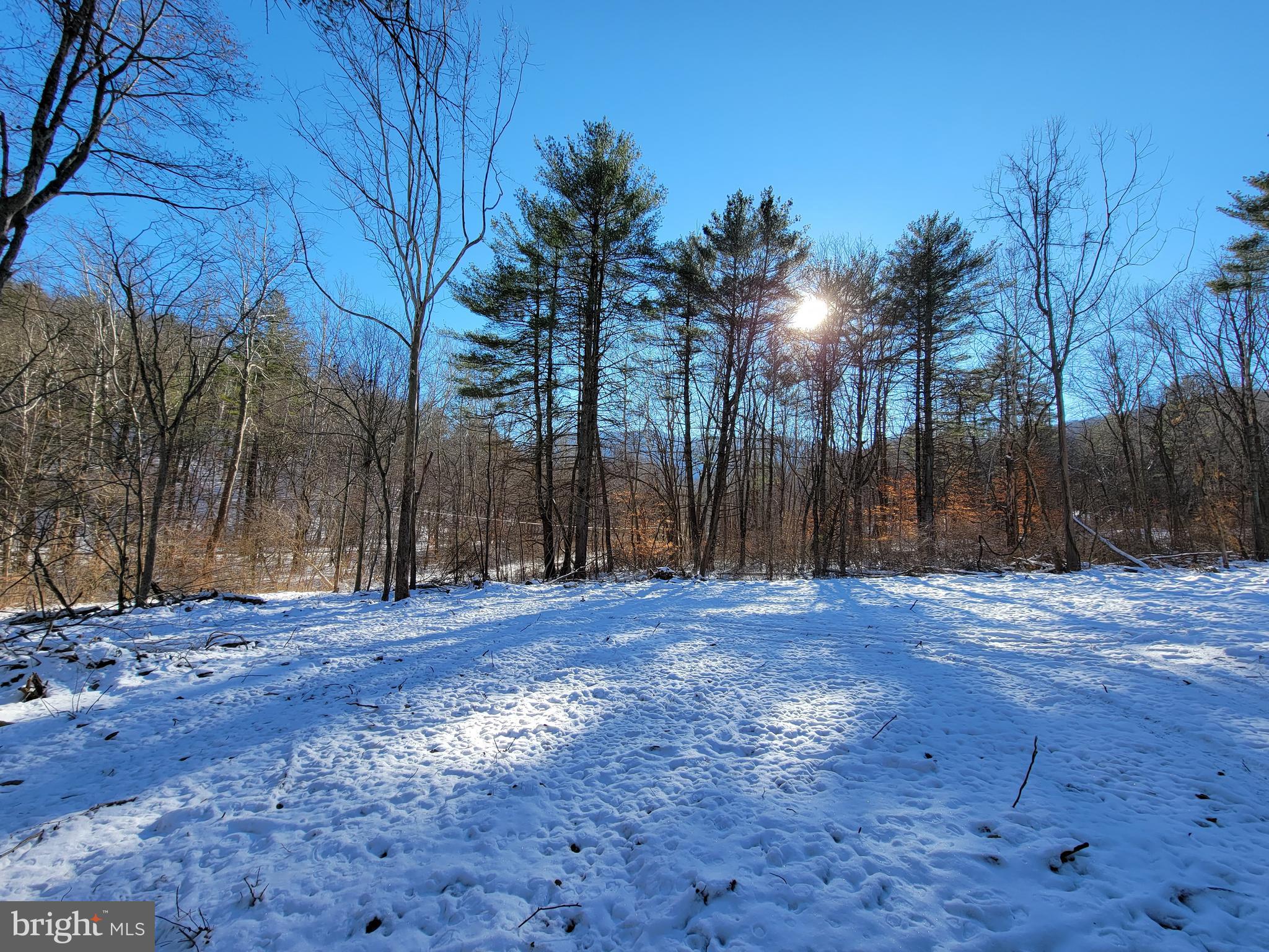 49A4 GOONEY MANOR LOOP