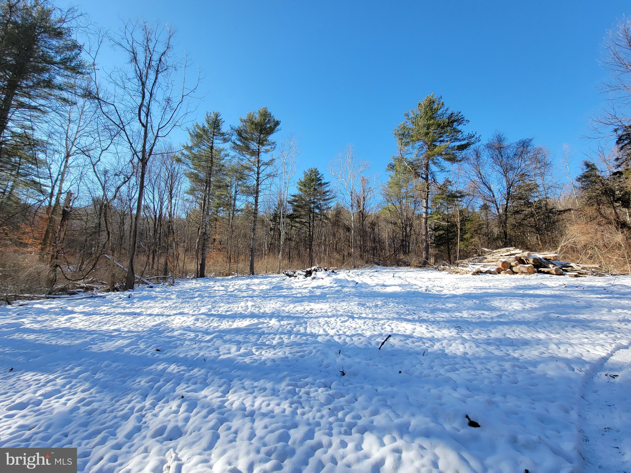 49A4 GOONEY MANOR LOOP