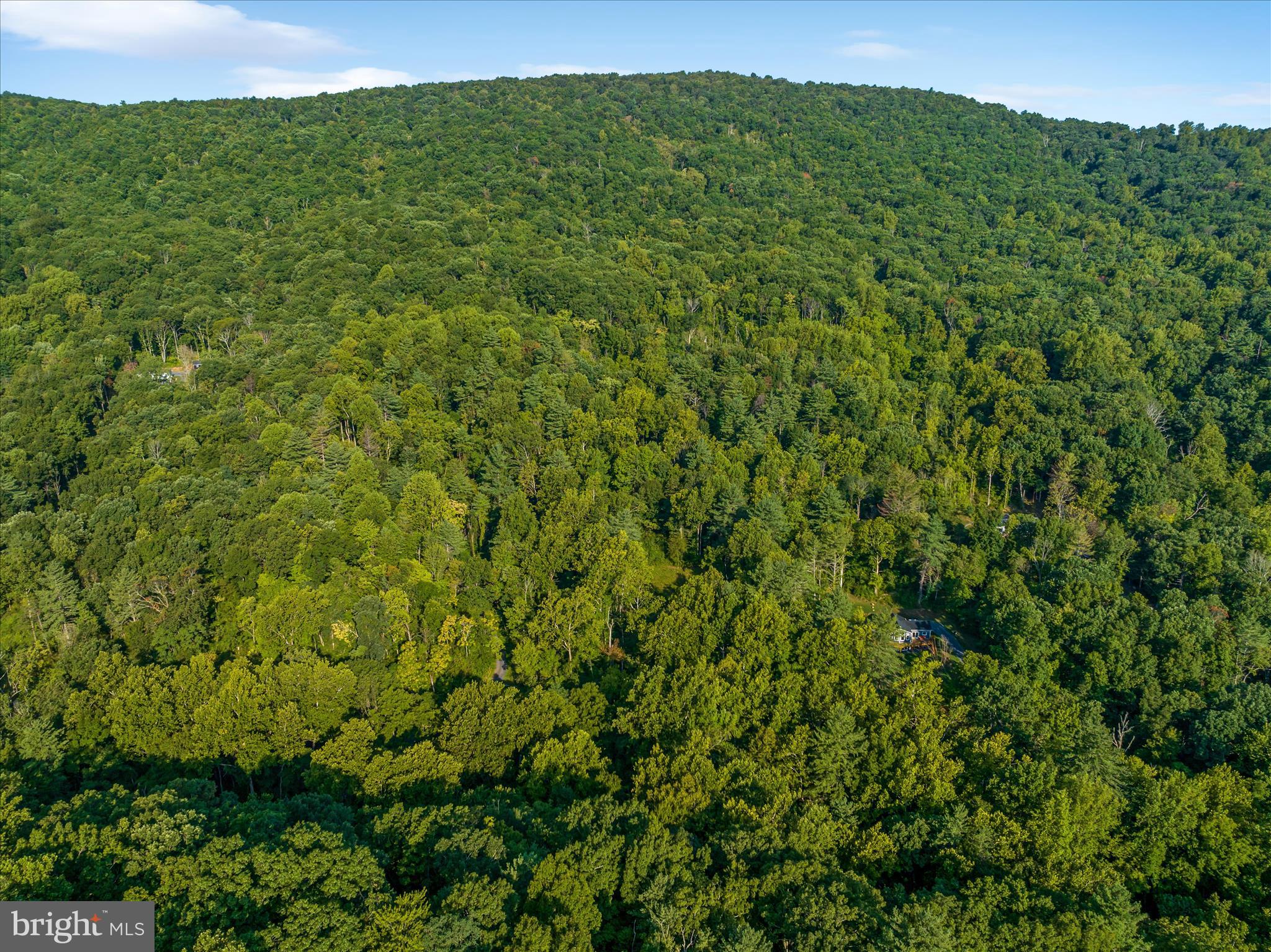 49A4 GOONEY MANOR LOOP