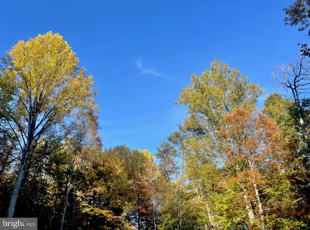 49A4 GOONEY MANOR LOOP