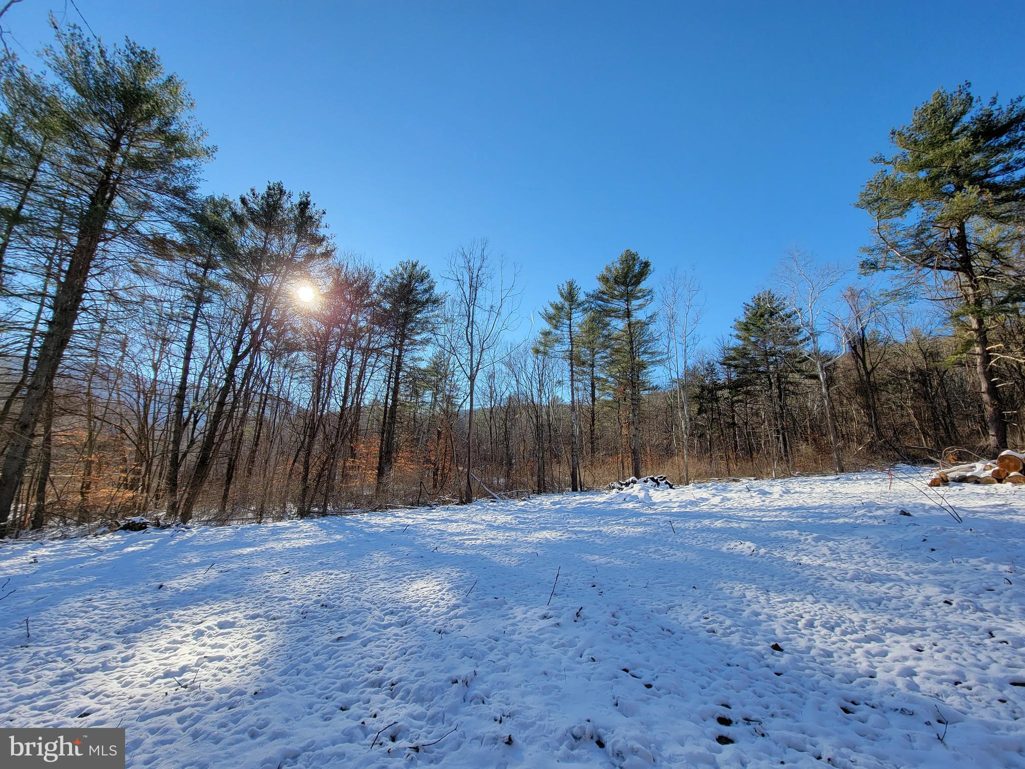 49A4 GOONEY MANOR LOOP