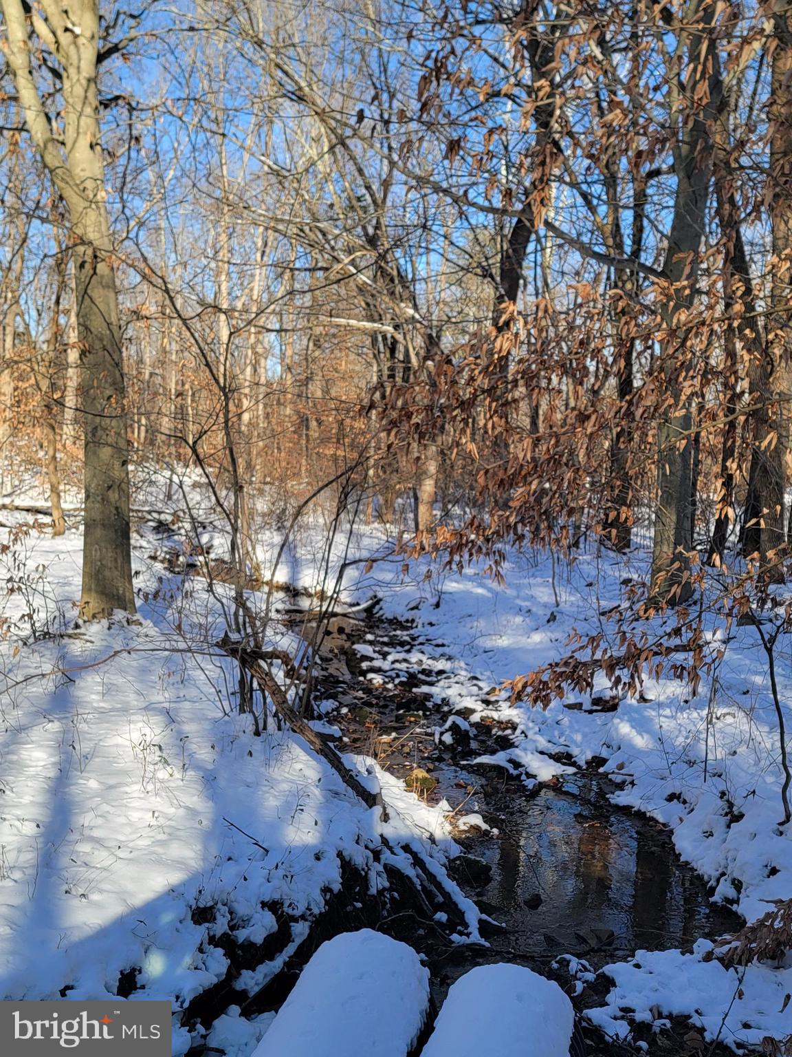 49A4 GOONEY MANOR LOOP