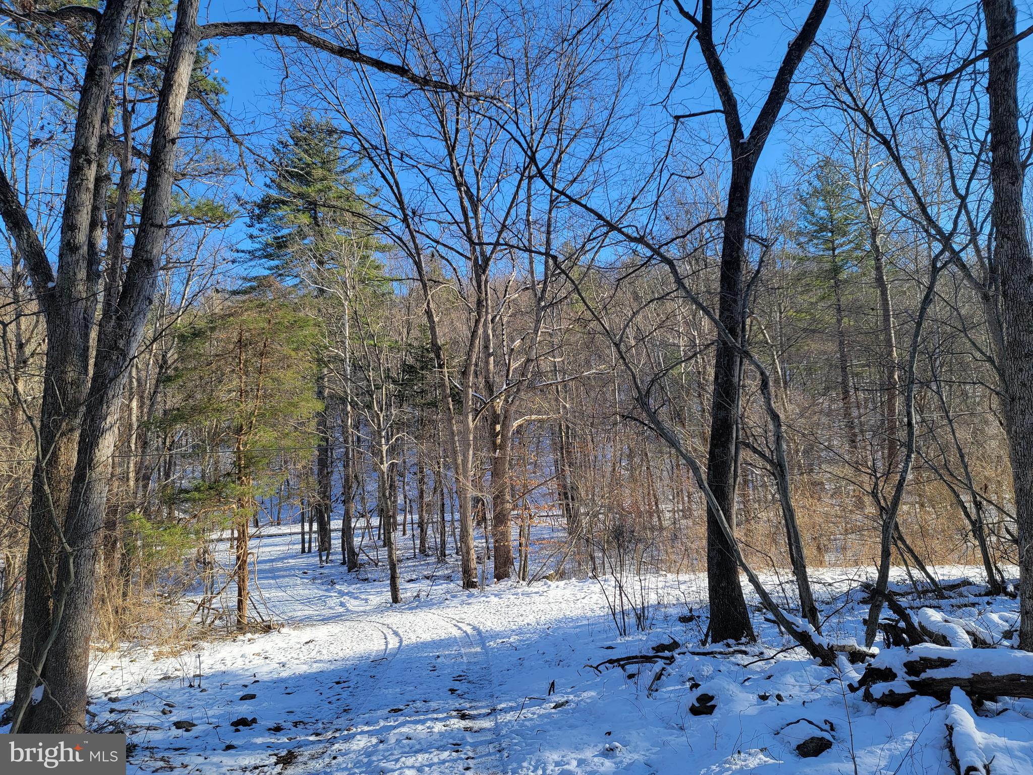 49A4 GOONEY MANOR LOOP