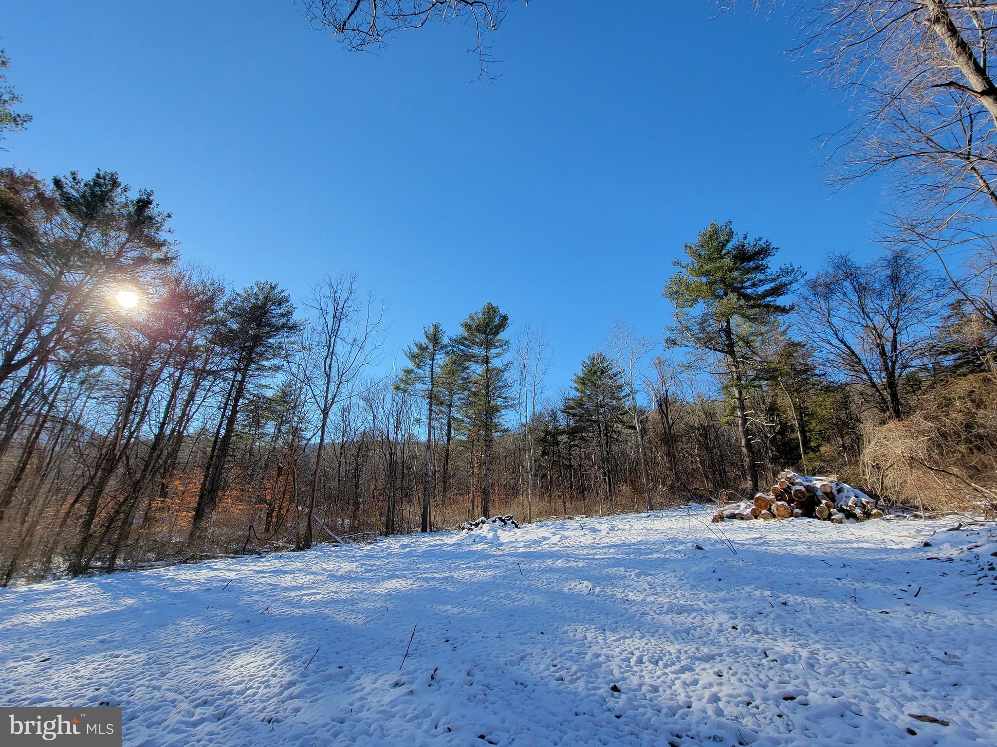 49A4 GOONEY MANOR LOOP