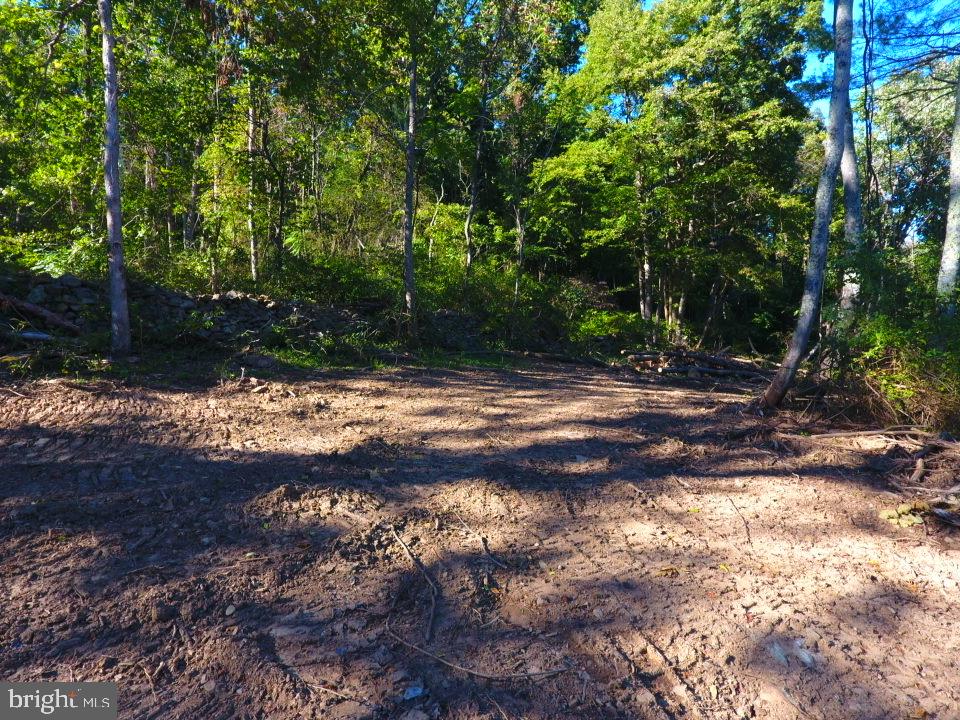 49A4 GOONEY MANOR LOOP