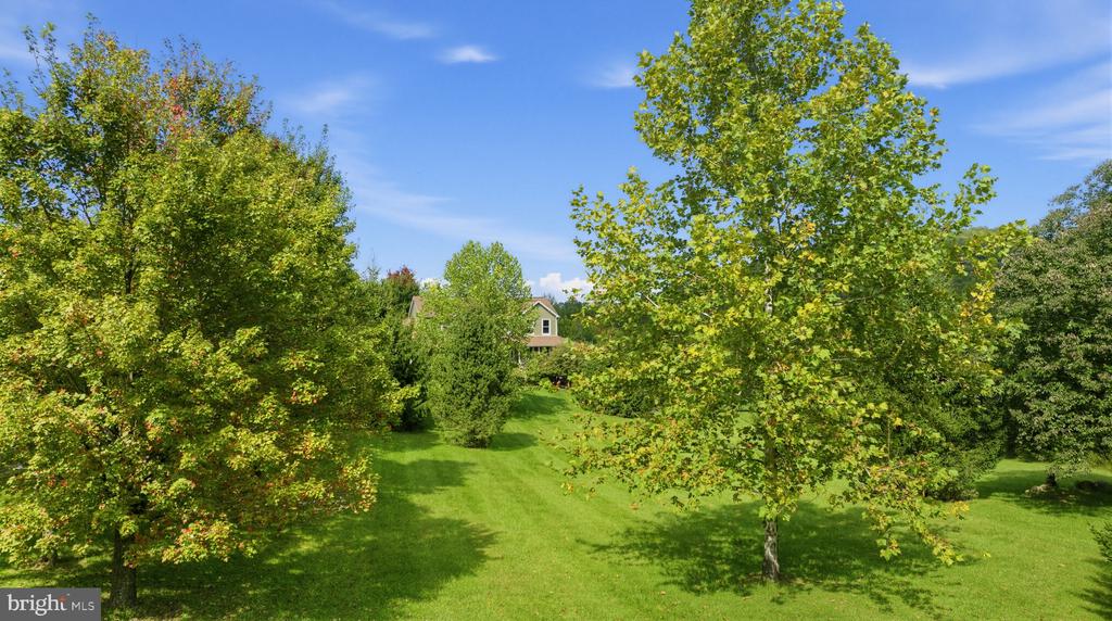 456 BOYDS MILL LANE