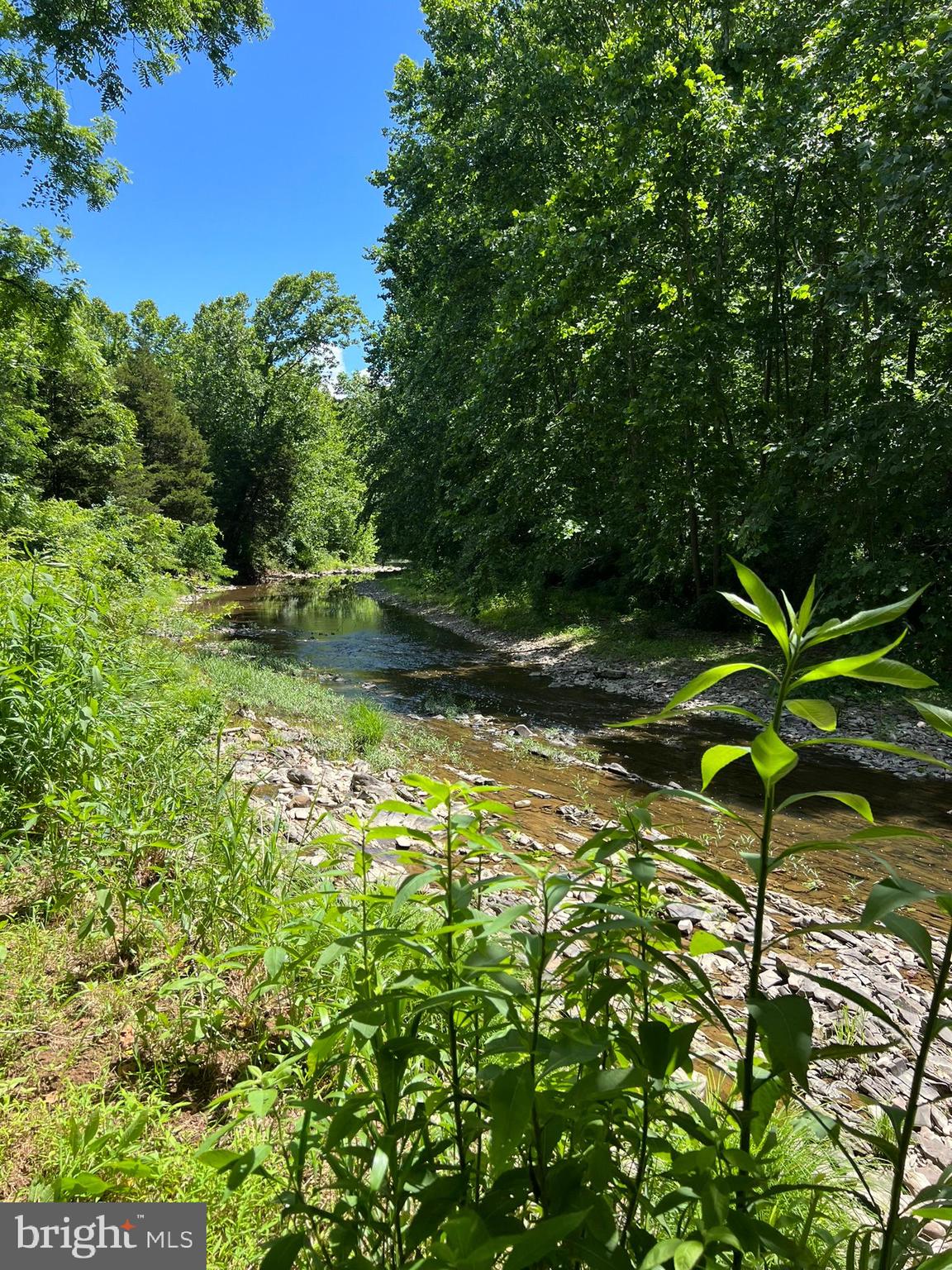Lot 4 Section 1 LITTLE CACAPON LEVELS RD