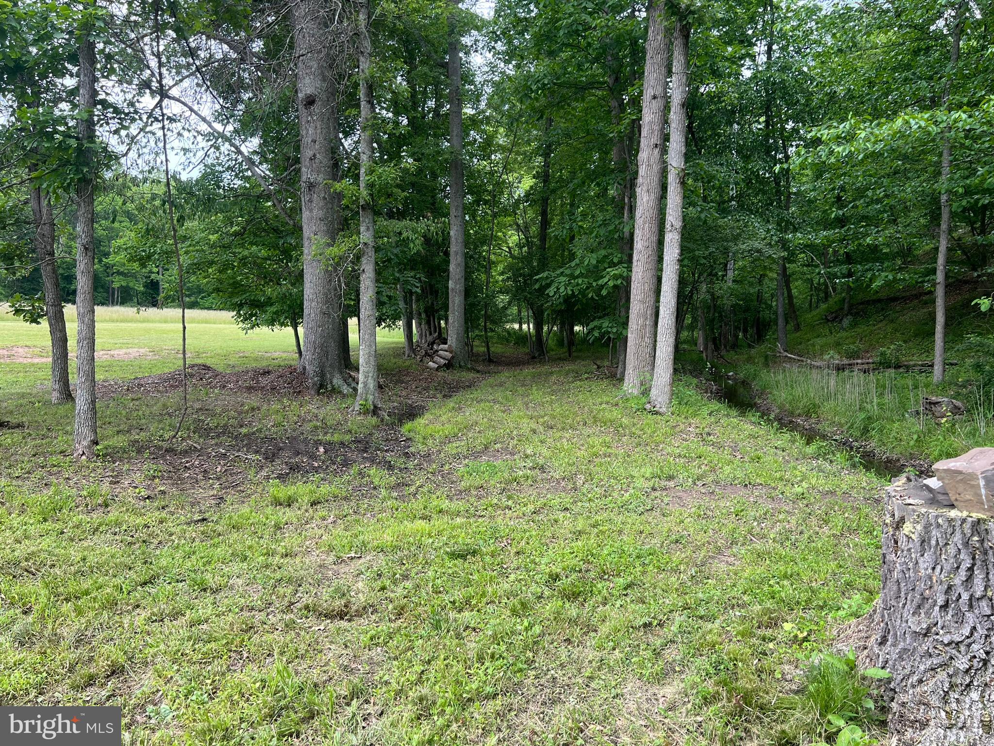 Lot 4 Section 1 LITTLE CACAPON LEVELS RD