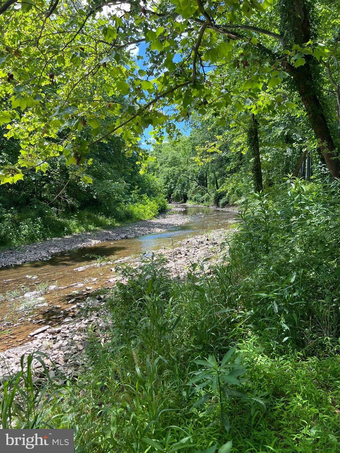Lot 4 Section 1 LITTLE CACAPON LEVELS RD