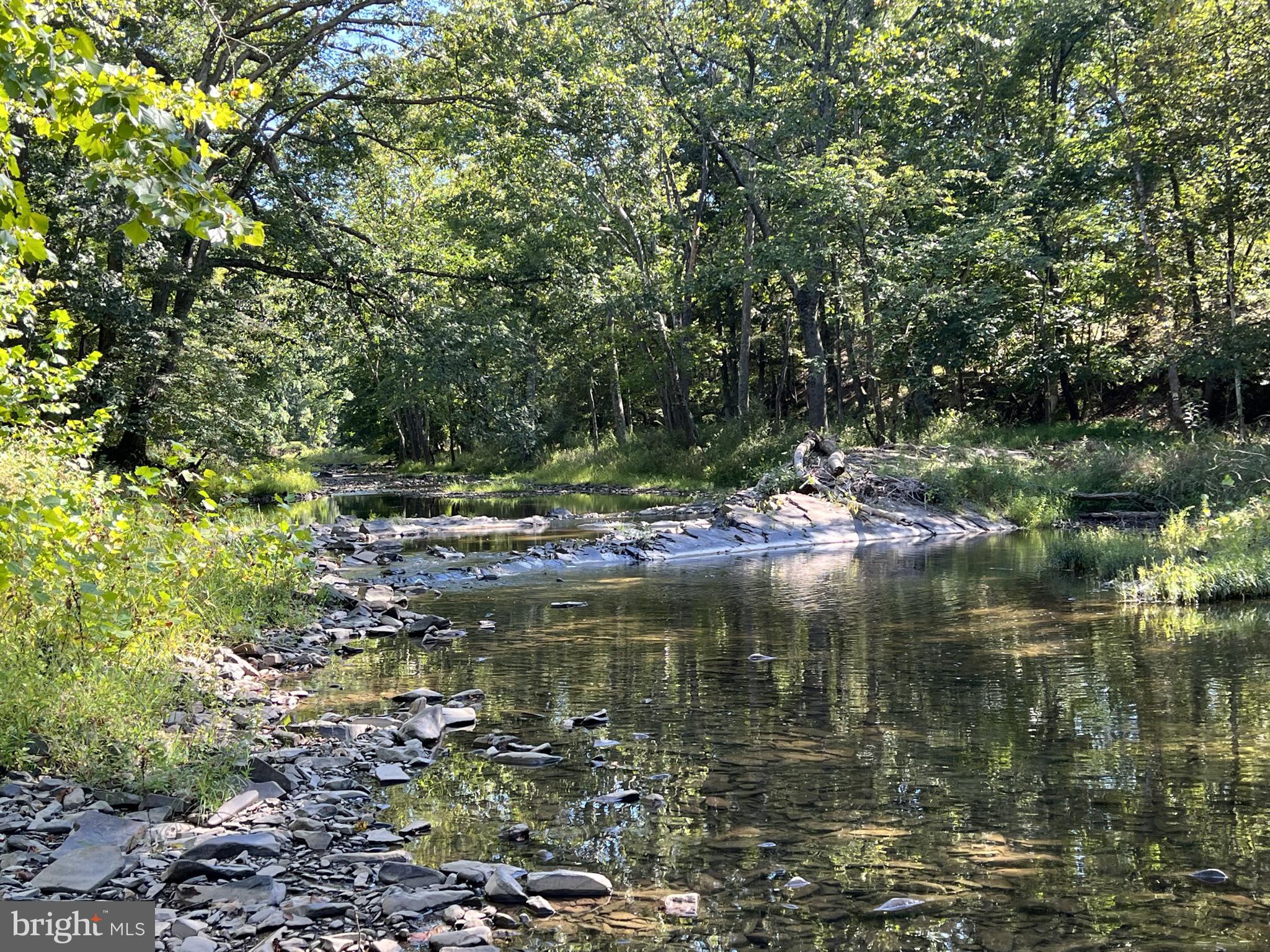 Lot 4 Section 1 LITTLE CACAPON LEVELS RD
