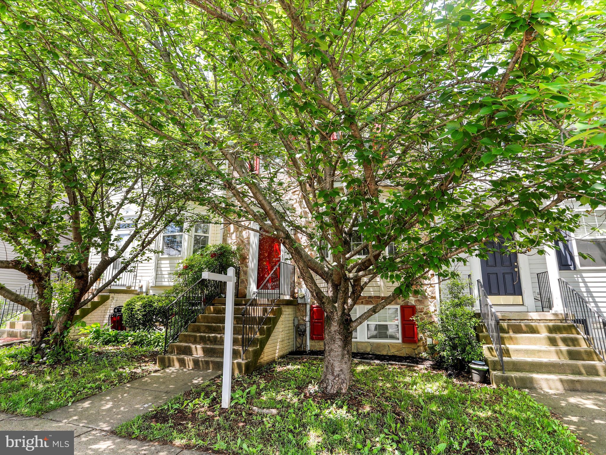 24 HOLMES DRIVE