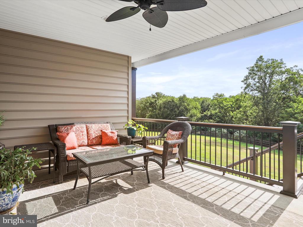 441 CHESSIE LANE