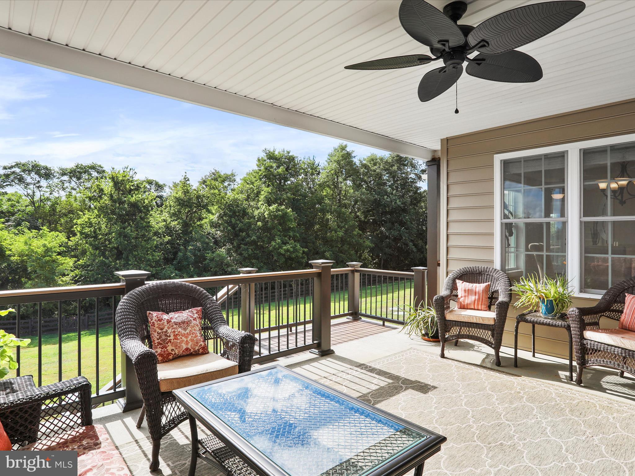 441 CHESSIE LANE