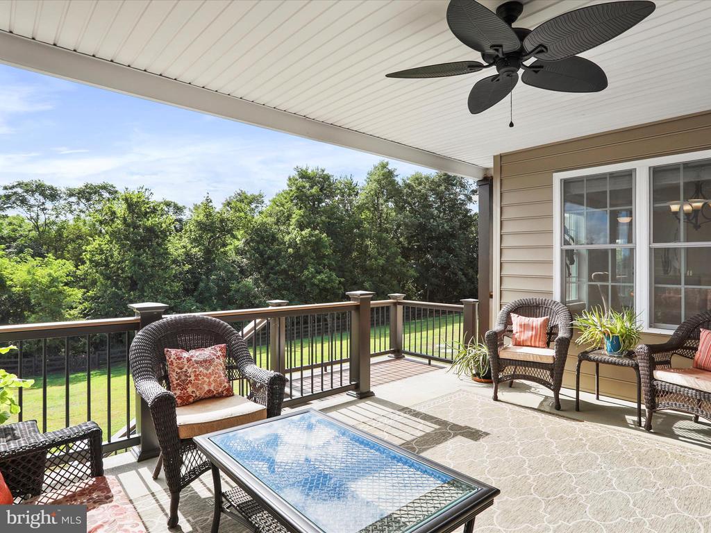 441 CHESSIE LANE