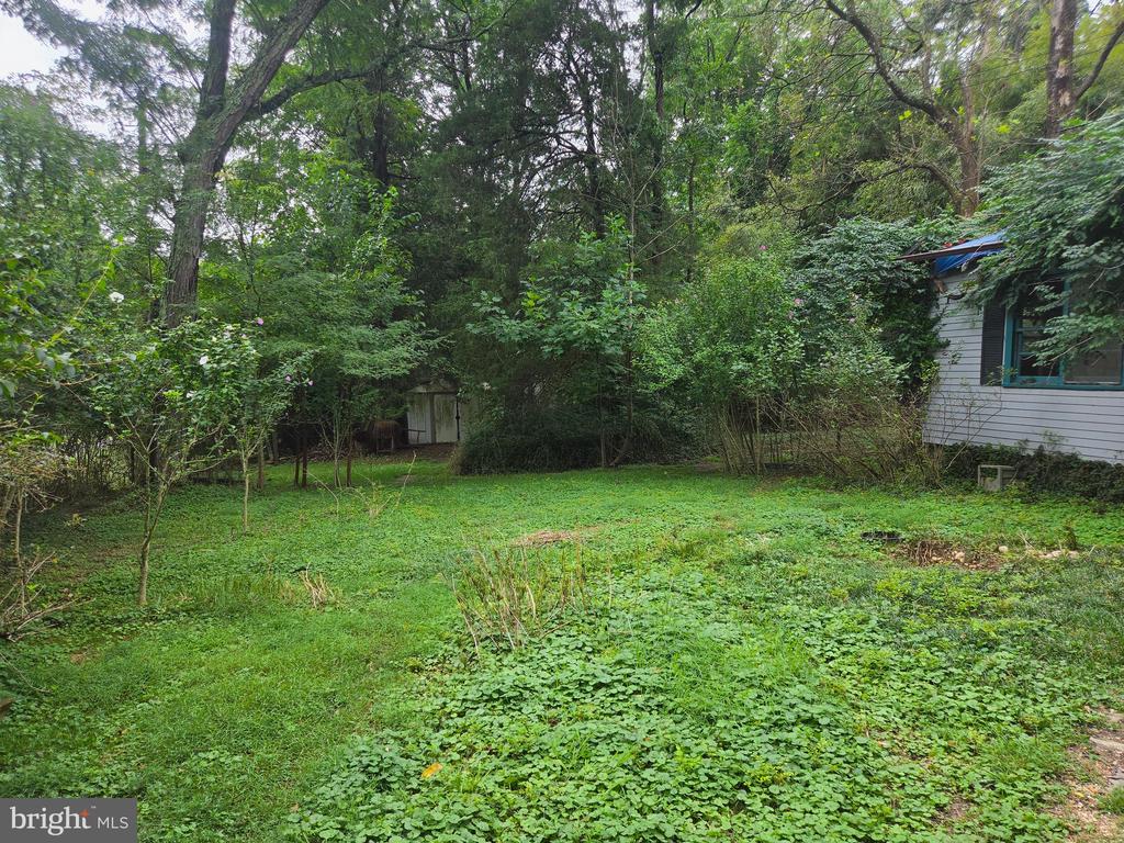 143 BOTTOM DOLLAR LANE
