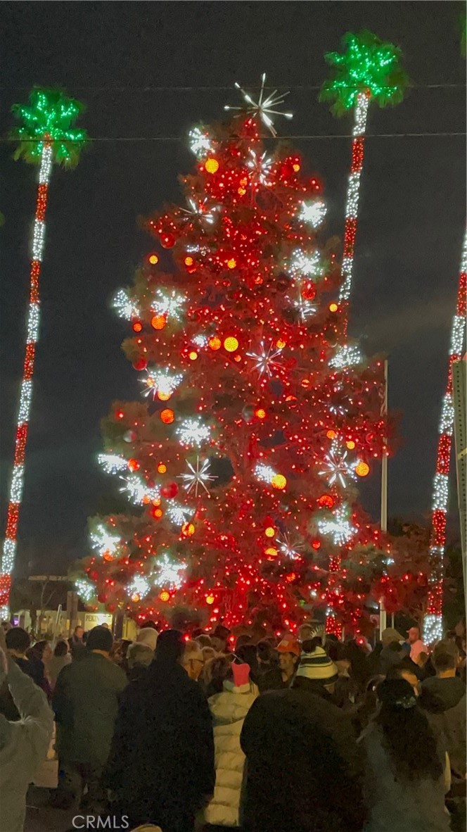 33921 Calle La Primavera