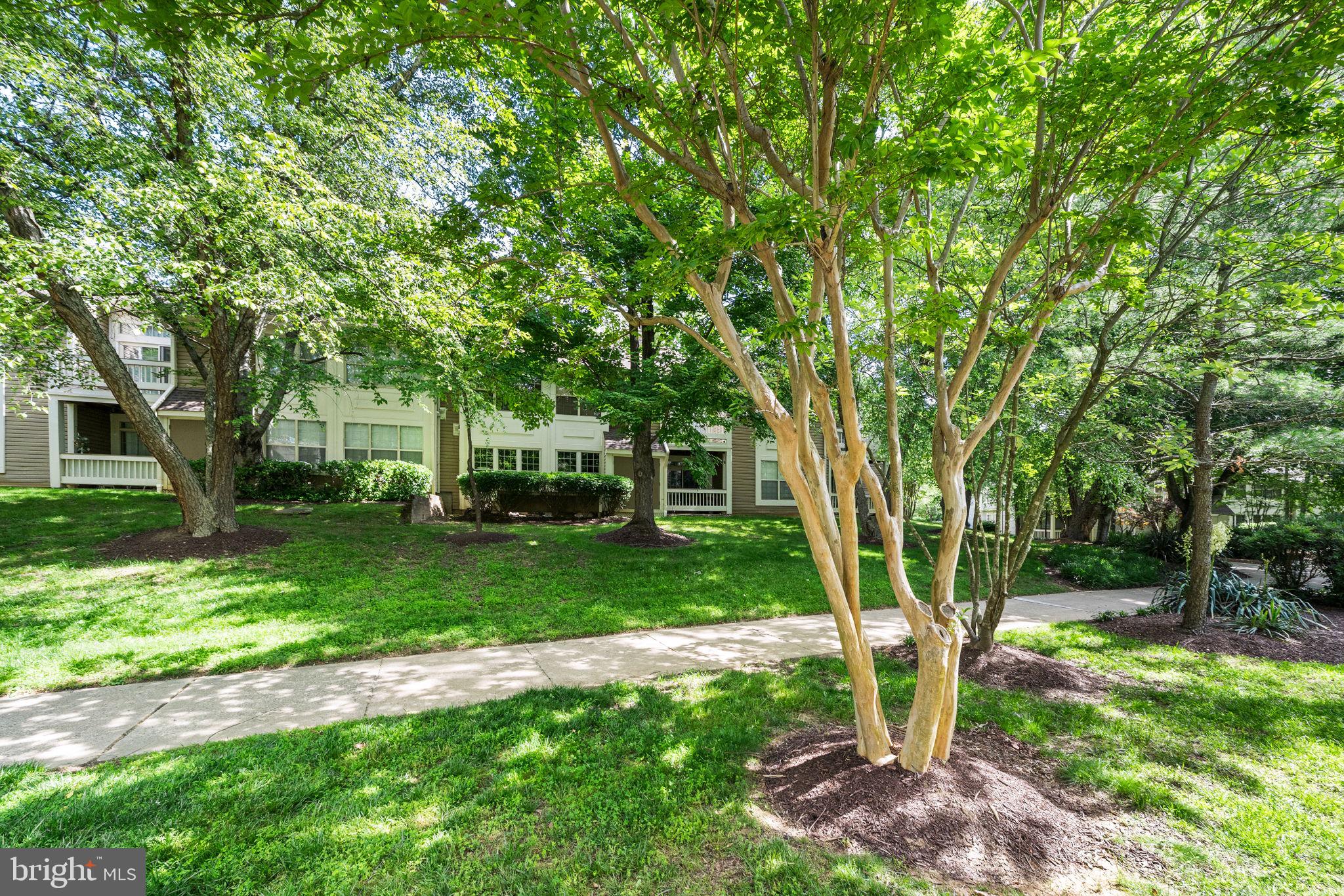 10800 ANTIGUA TERRACE 205