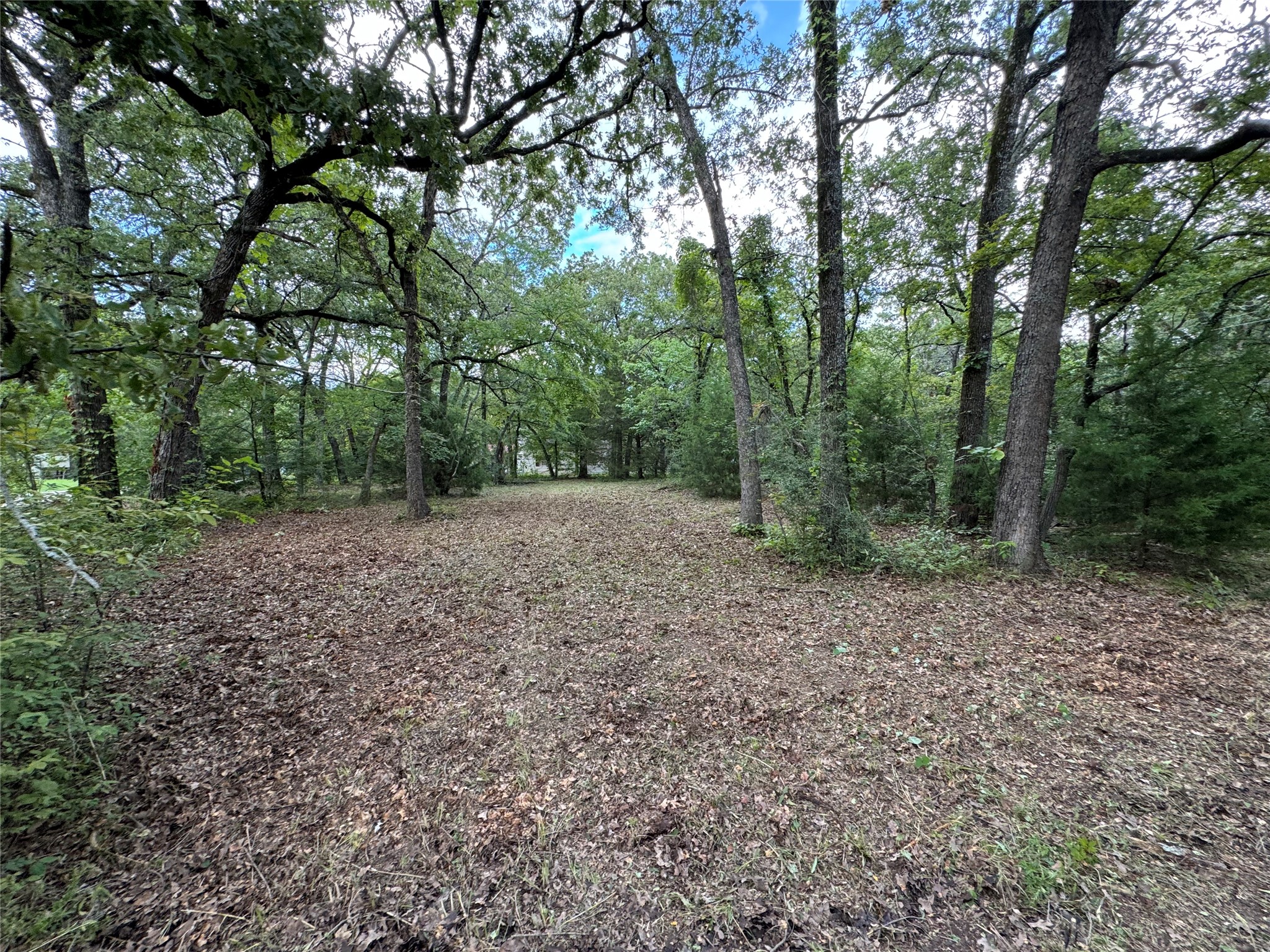 217 Red Robin Road