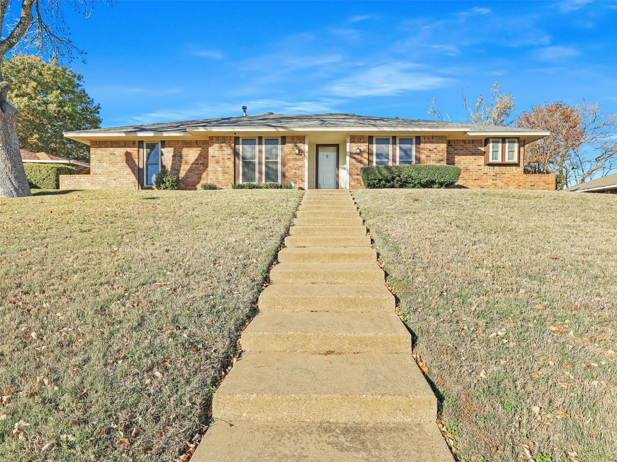 541 Sapling Way