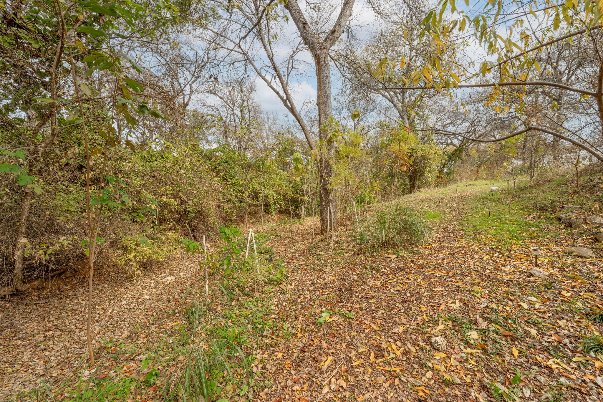 554 Blue Jay Court