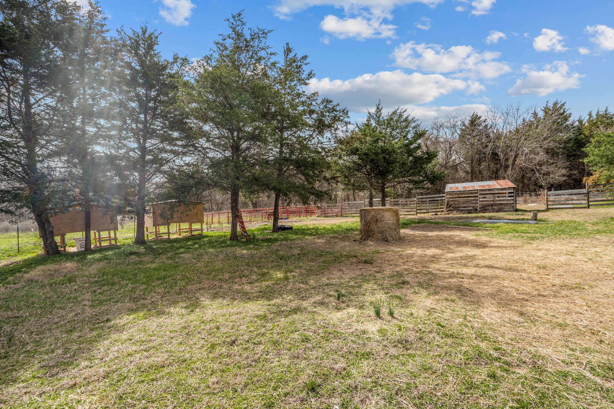 920 N Pecan Street