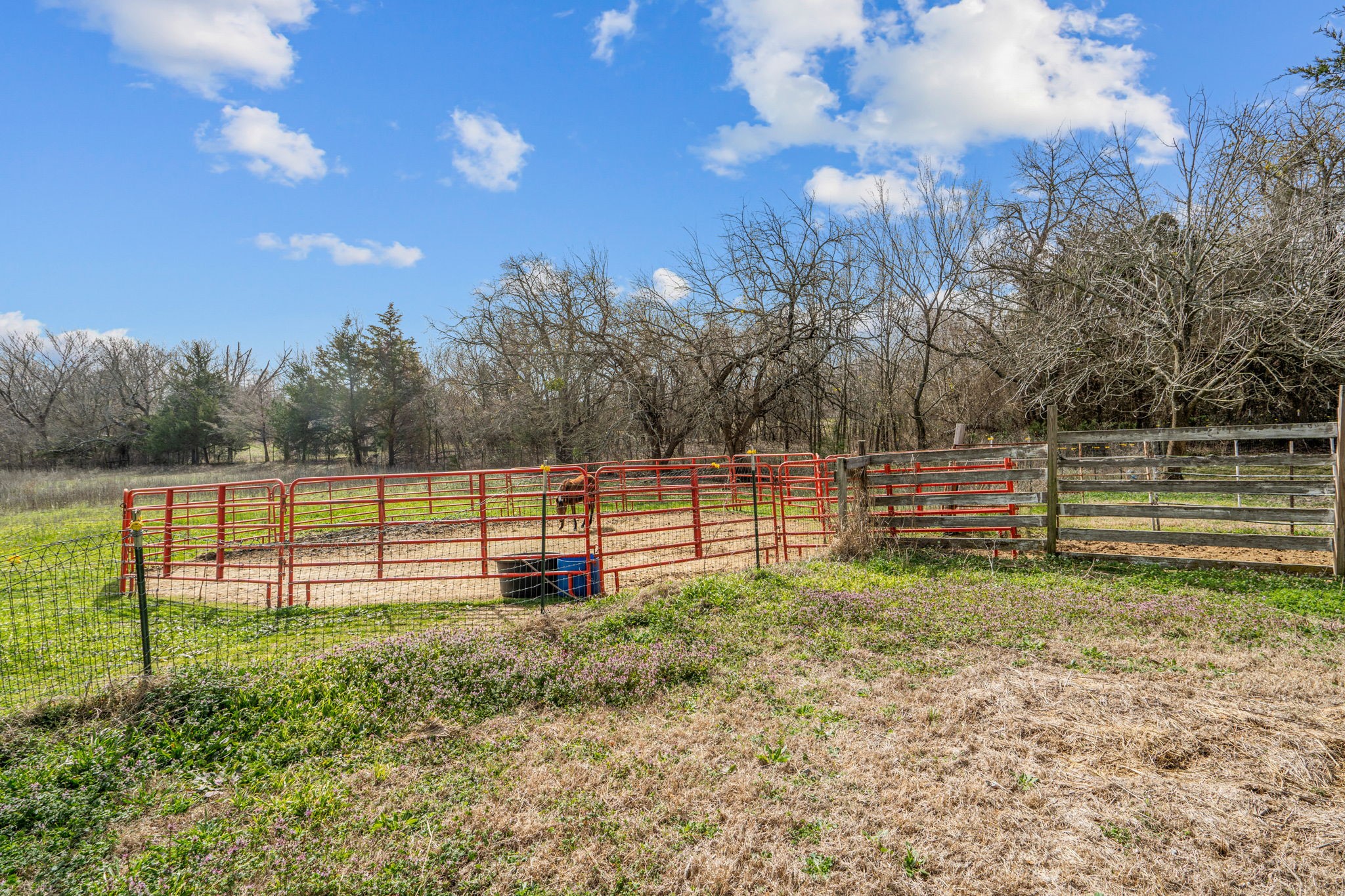 920 N Pecan Street