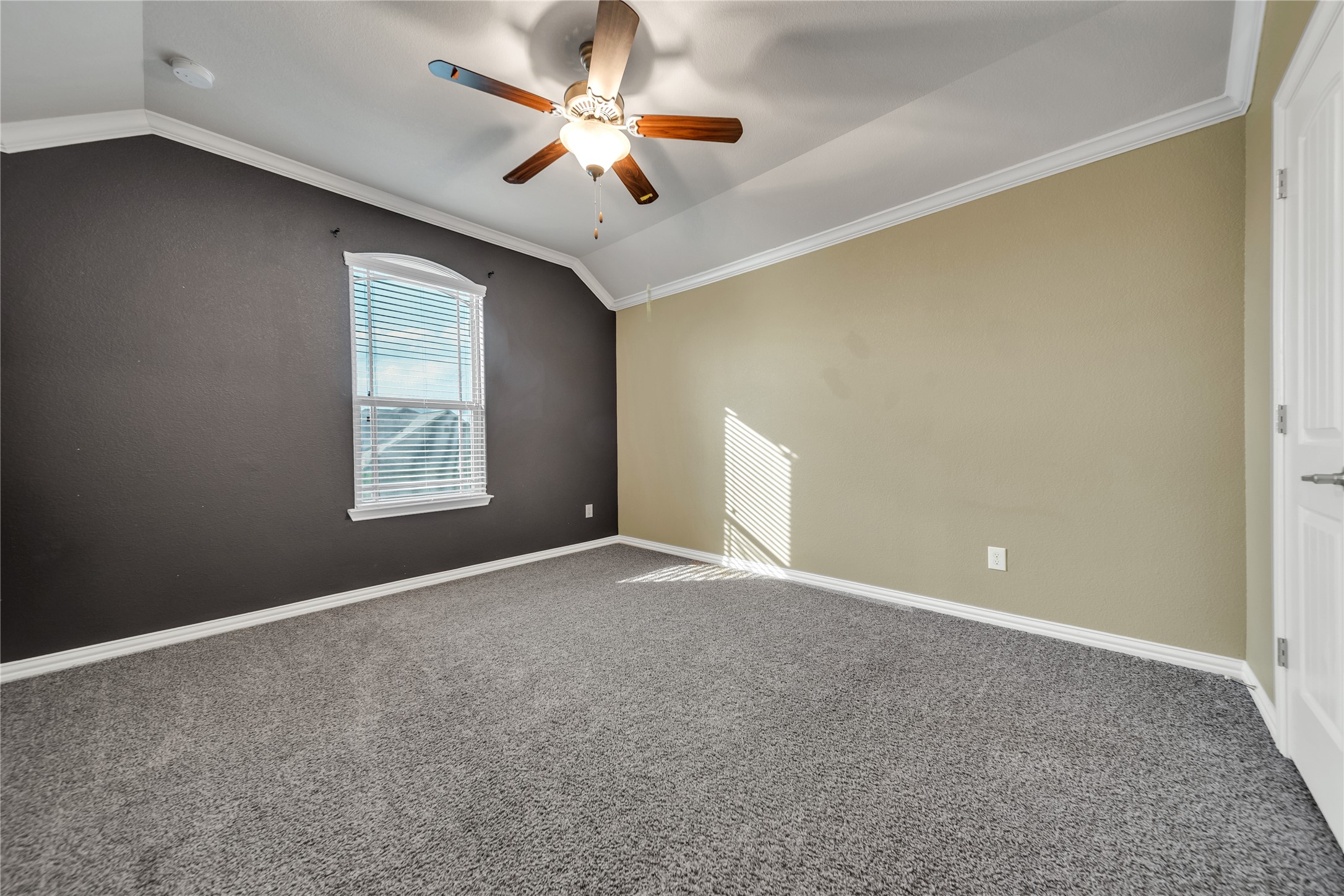 186 Balfour Drive