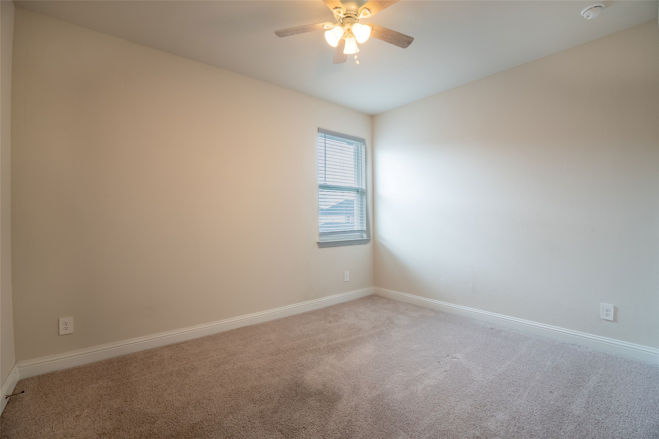 10691 Downy Cup Drive