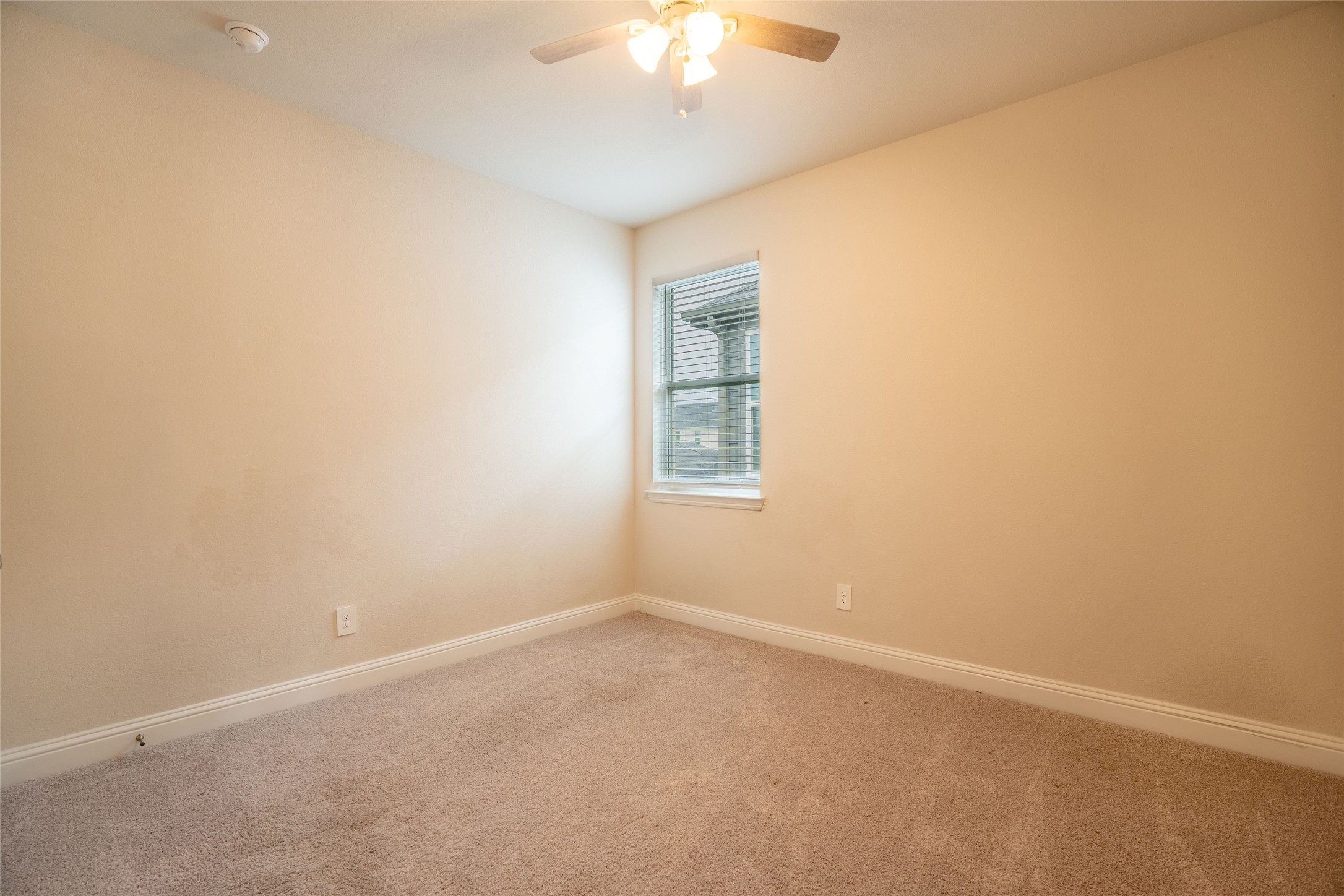 10691 Downy Cup Drive