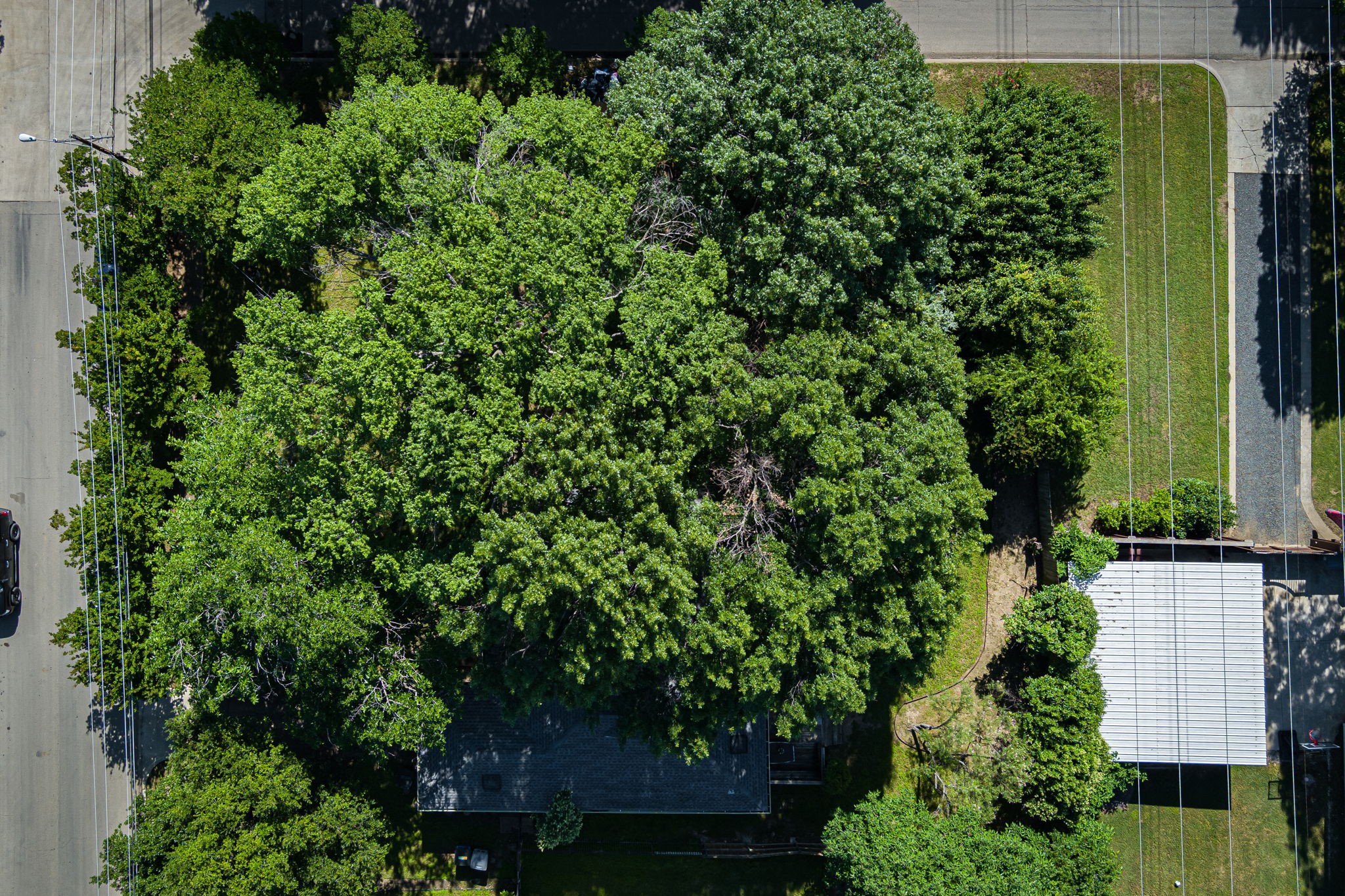 3946 Cortez Drive
